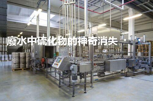 廢水中硫化物的神奇消失，是如何實(shí)現(xiàn)的？